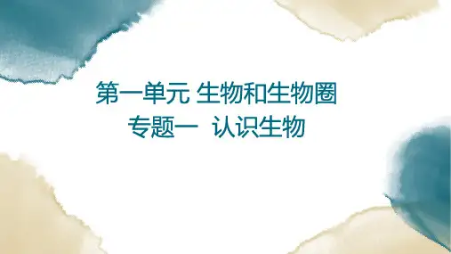 初中生物总复习 专题1认识生物