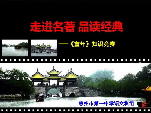 2019年中考复习语文名著阅读课件：《童年》共31张PPT