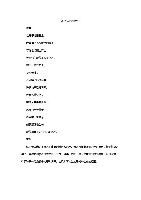 现代诗歌加赏析