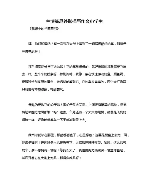 兰博基尼外形描写作文小学生
