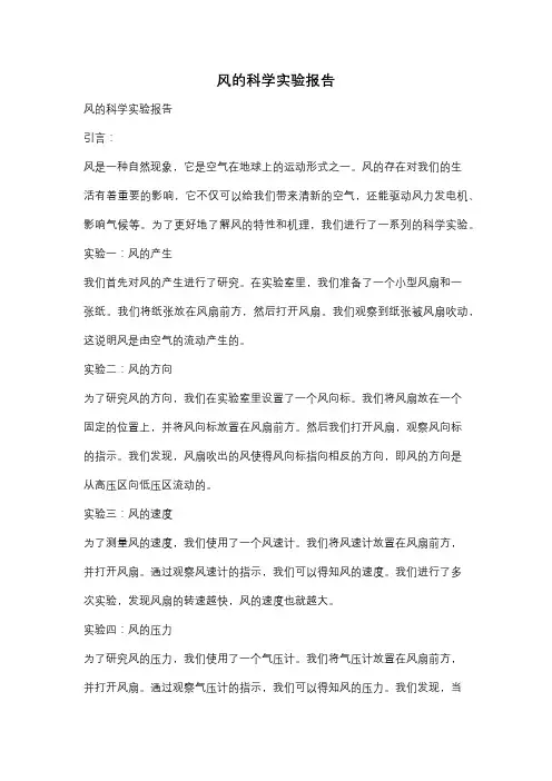 风的科学实验报告