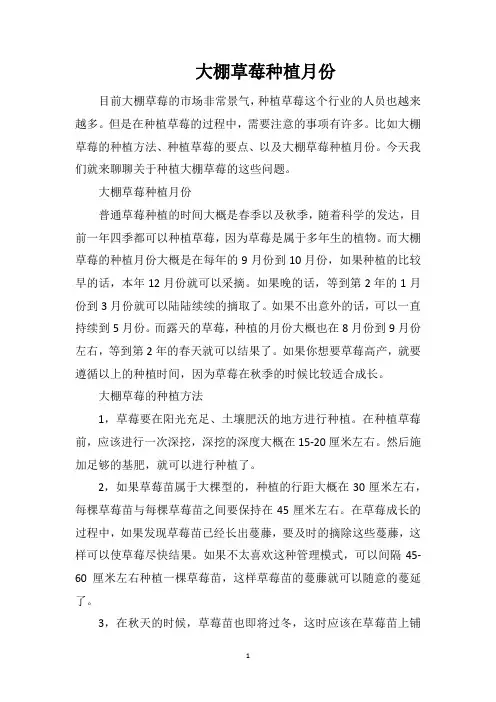 大棚草莓种植月份