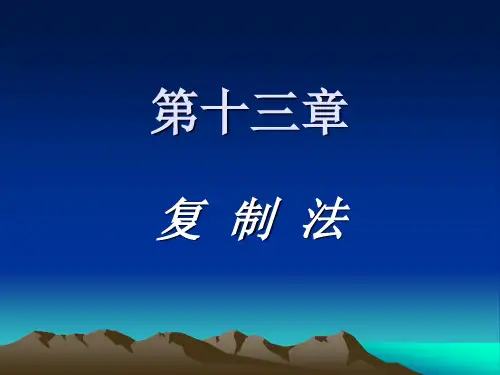 【全文】中药炮制学-课件-第13章