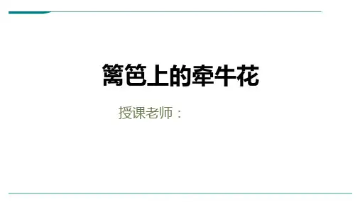 2024年5岁-6岁《篱笆上的牵牛花》-美术课件