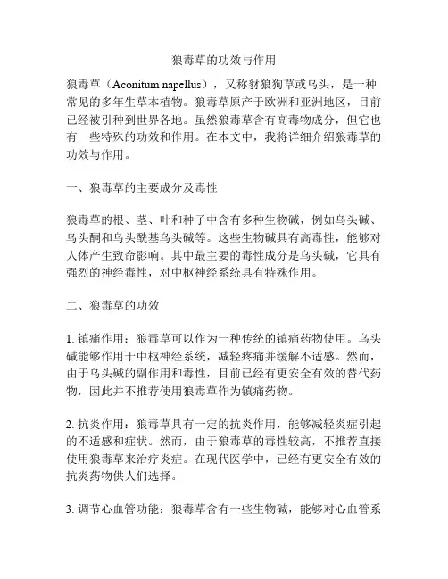 狼毒草的功效与作用