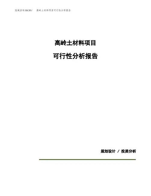 高岭土材料项目可行性分析报告(模板参考范文)