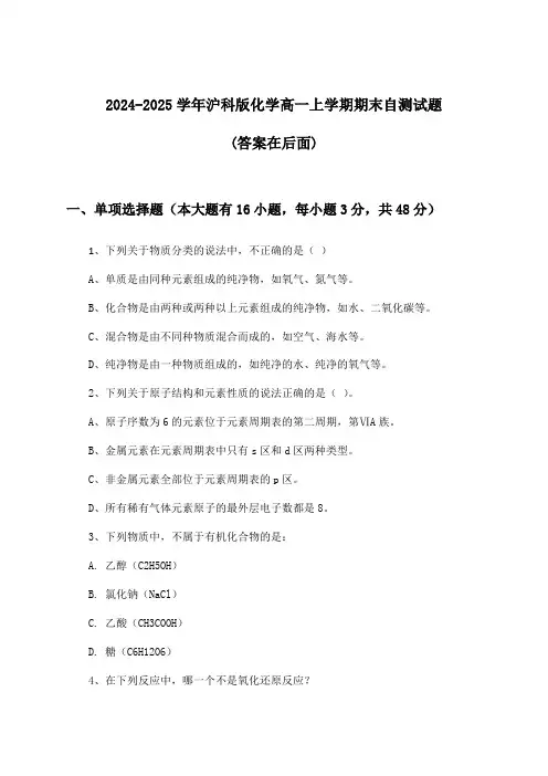 沪科版化学高一上学期期末试题与参考答案(2024-2025学年)