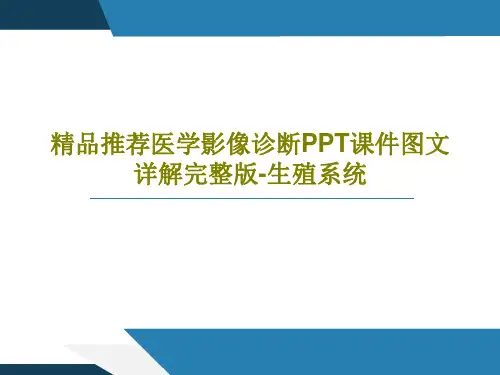 精品推荐医学影像诊断PPT课件图文详解完整版-生殖系统40页PPT