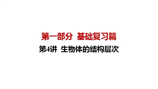 生物八中考基础复习第4讲 生物体的结构层次