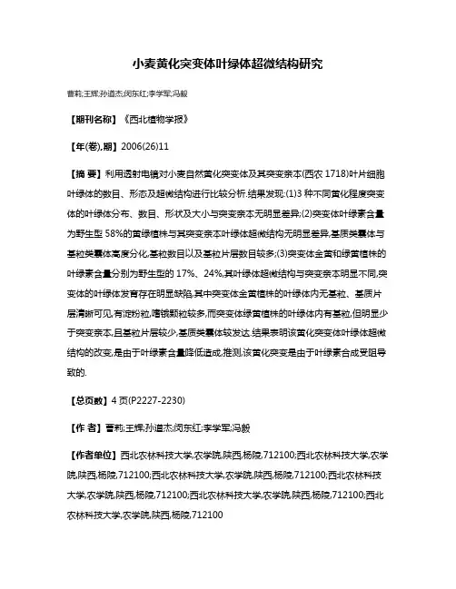 小麦黄化突变体叶绿体超微结构研究