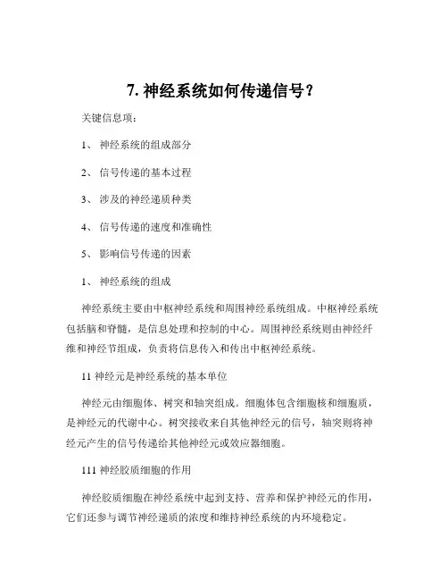 7. 神经系统如何传递信号？