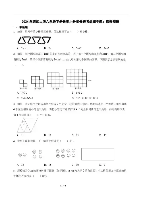 2024年西师大版六年级下册数学小升初分班考必刷专题：探索规律