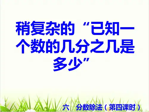 小学数学人教版《几分之几》PPT优质(公开课)1