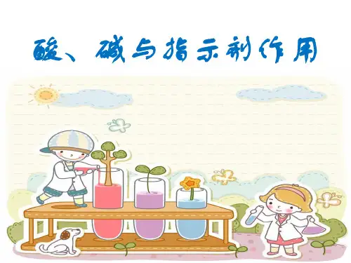 初中化学九下10.1 常见的酸和碱-酸碱与指示剂作用 课件