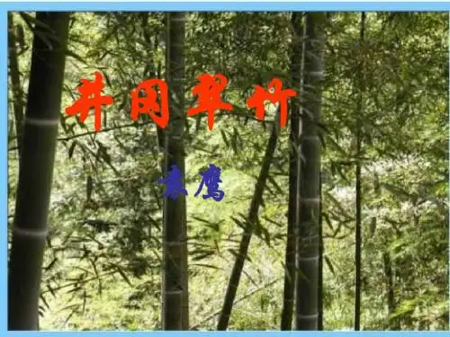 六年级语文下册《井冈翠竹》 优秀课件4长春版