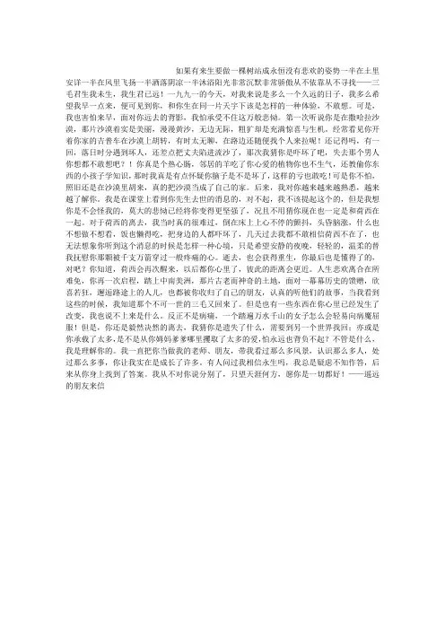给三毛的信