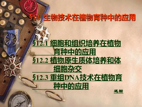 生物技术在育种上的应用