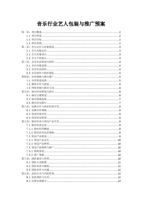 音乐行业艺人包装与推广预案