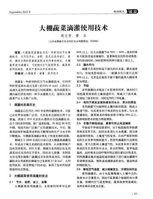 大棚蔬菜滴灌使用技术