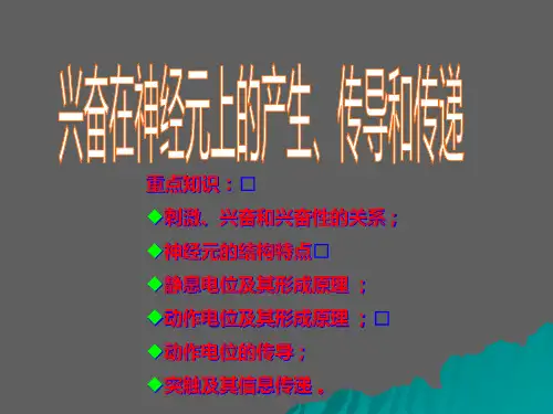 高中生物核心概念高考复习-兴奋在神经元上产生、传导和传递ppt课件