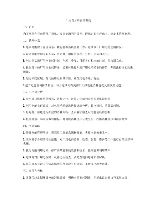 厂用电分析管理制度