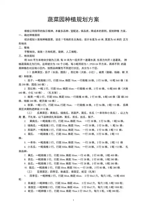 蔬菜园种植规划方案