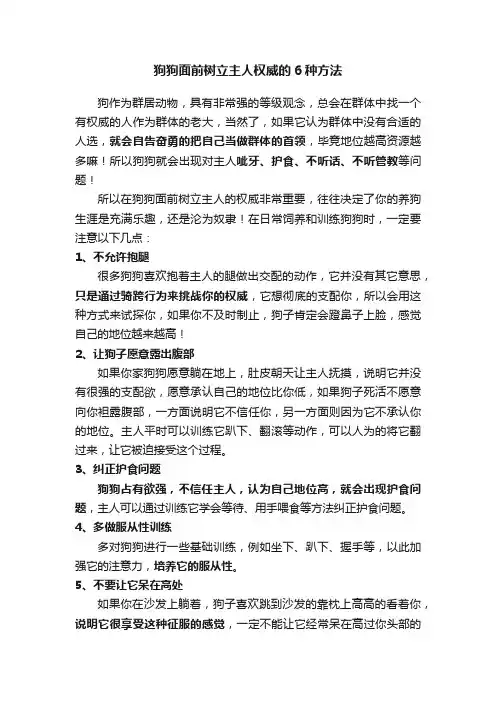 狗狗面前树立主人权威的6种方法