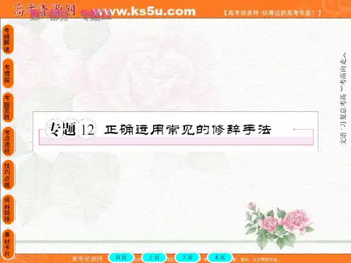 2019年高考语文全程总复习一轮课件正确运用常见的修辞手法12 文档资料