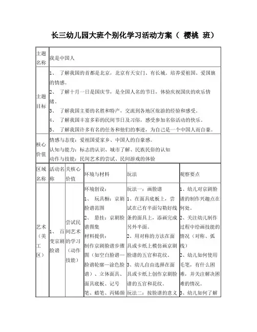 我是中国人个别化学习方案