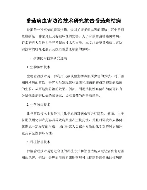 番茄病虫害防治技术研究抗击番茄斑枯病