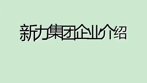 新力集团企业介绍 ppt课件