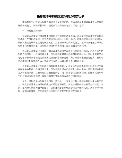 摄影教学中的视觉读写能力培养分析