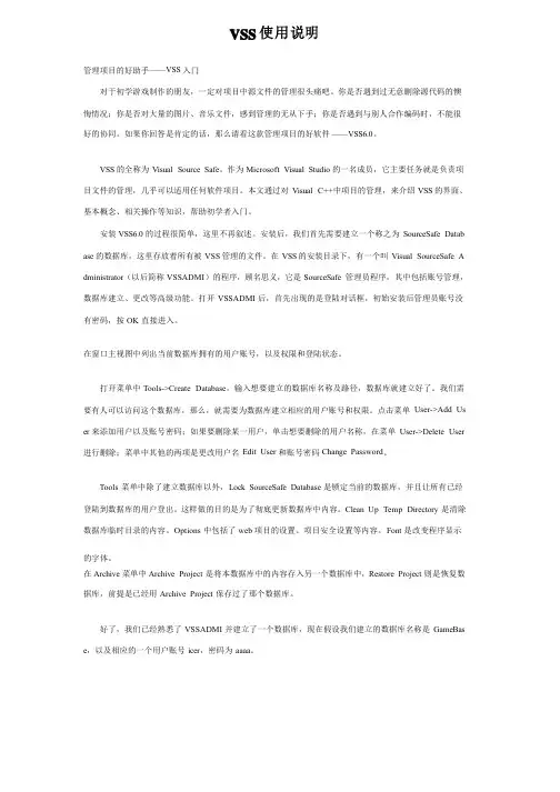 VSS使用说明