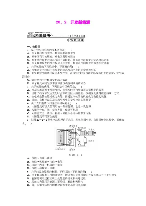 20.2 开发新能源 每课一练3(沪粤版九年级下册)