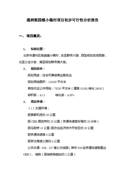 北京某项目初步可行性分析报告