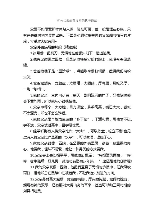 有关父亲细节描写的优美段落_作文3000字_优美段落素材_