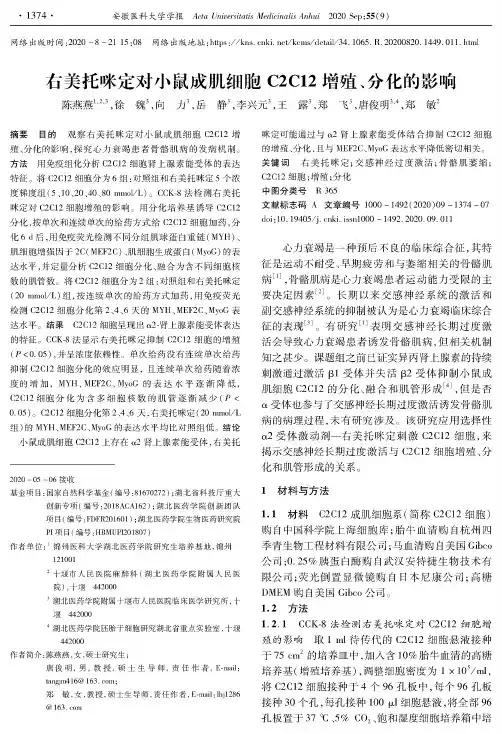 右美托咪定对小鼠成肌细胞C2C12增殖、分化的影响