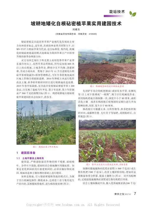 坡耕地矮化自根砧密植苹果实用建园技术