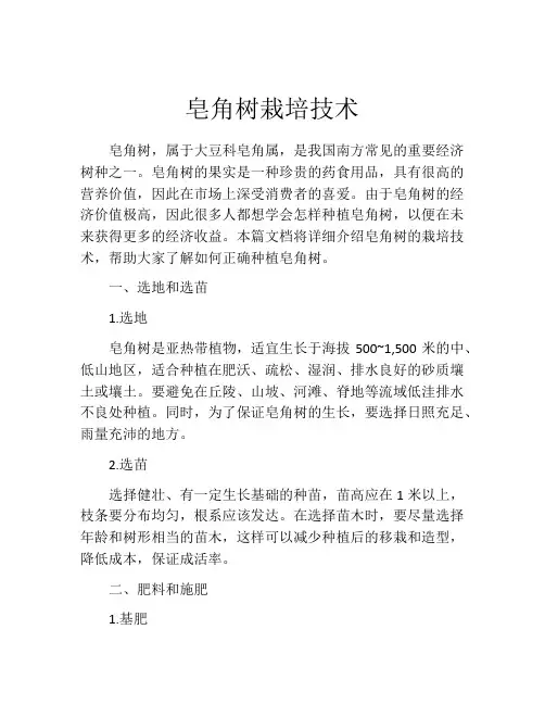 皂角树栽培技术