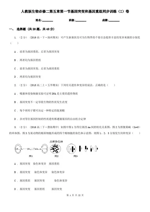 人教版生物必修二第五章第一节基因突变和基因重组同步训练(I)卷