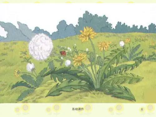《金色的草地》PPT课件(上课材料)