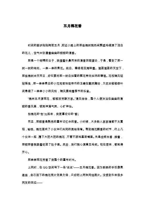 五月槐花香_六年级散文