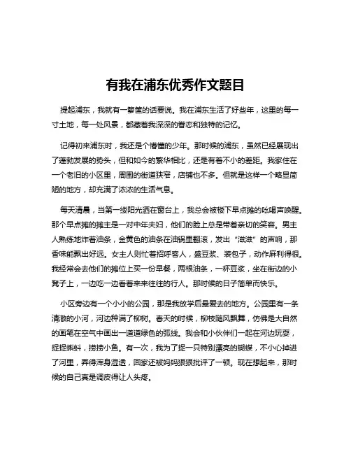 有我在浦东优秀作文题目