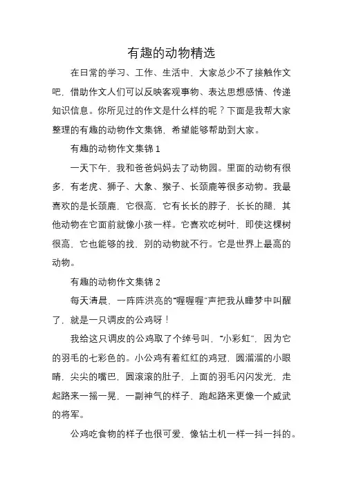 有趣的动物精选16篇