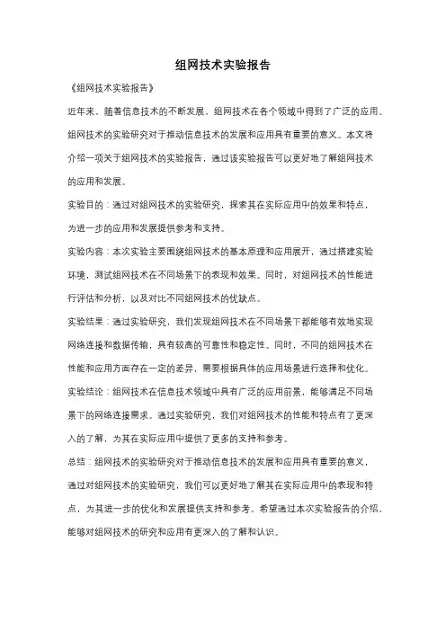 组网技术实验报告