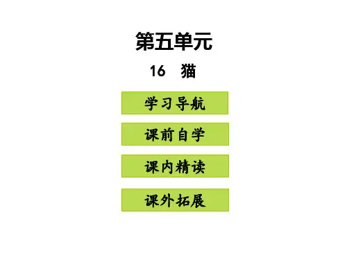 部编版七年级语文上册16猫课件39张