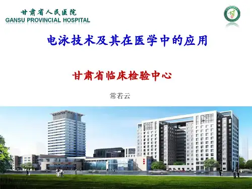 电泳技术及其在医学中的应用--常若云