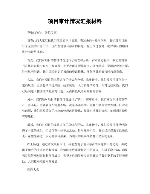 项目审计情况汇报材料