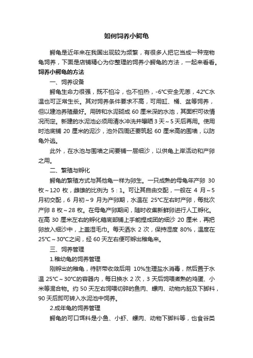 如何饲养小鳄龟
