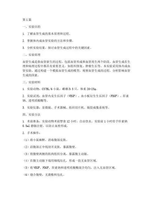 体内成血管实验报告(3篇)